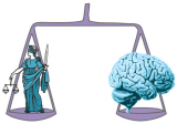 The brain and the law and practice ethical neurodroit (Policy Brief 282 - September 2012) 