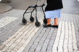 How the city can accompany healthy aging for seniors? (Policy Brief 323 - February 2013)